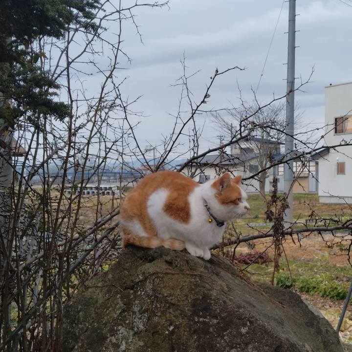 6285e1e2 d7e0 4a6b bd5a 1fada859f92b 1766561219087