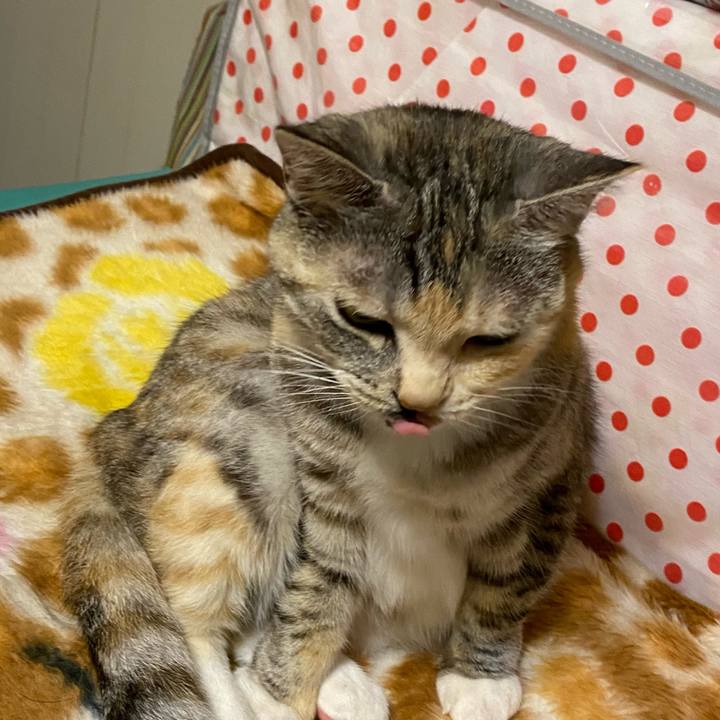 6285fcff ab1b 47bb a0db 7831a72575ca 1617628286615