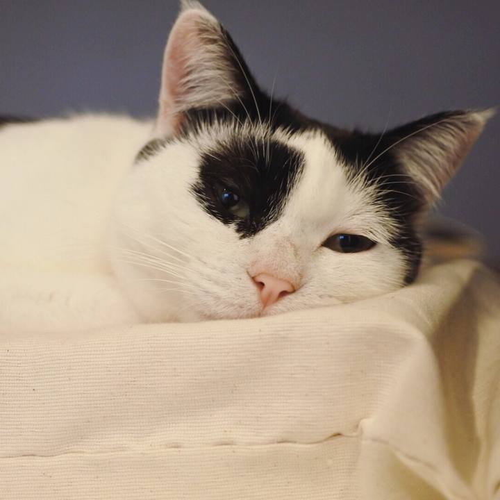 6285fdec 4938 4774 a5f6 6b9f03f32b74 1519738145898