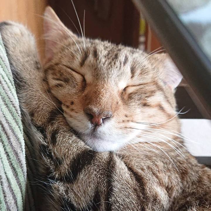 6286063d c1e9 4e09 8fef b65aa54e2ba3 1591881518521