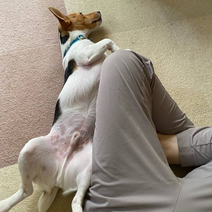 62861442 8f38 4a18 b9fc 5edbc77bdfeb 1762055798619