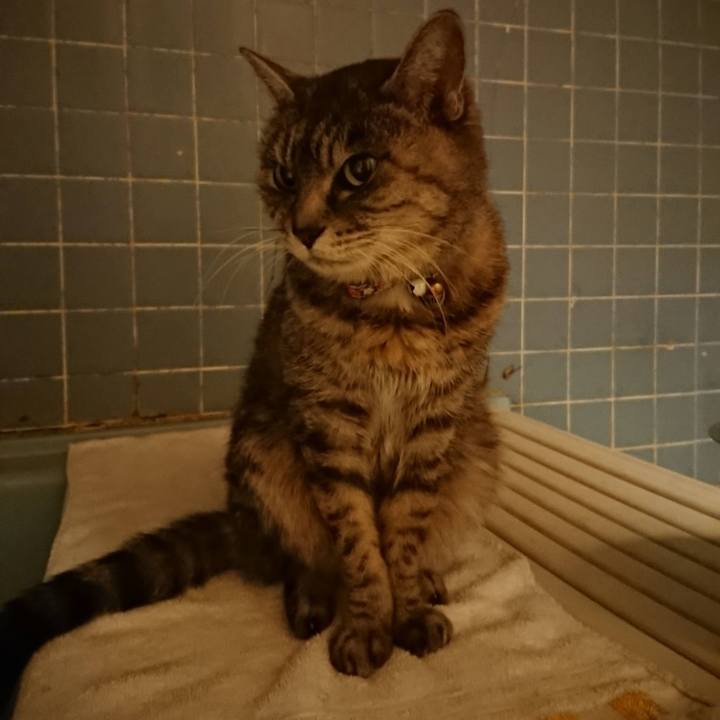 628625b9 5682 4bbc 8b2a d3be1ed5cefd 1611052116919