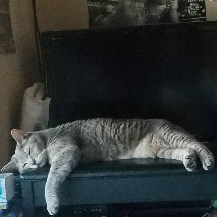 6286319d 2c52 464f 8557 5efe6ea6037c 1660807023816