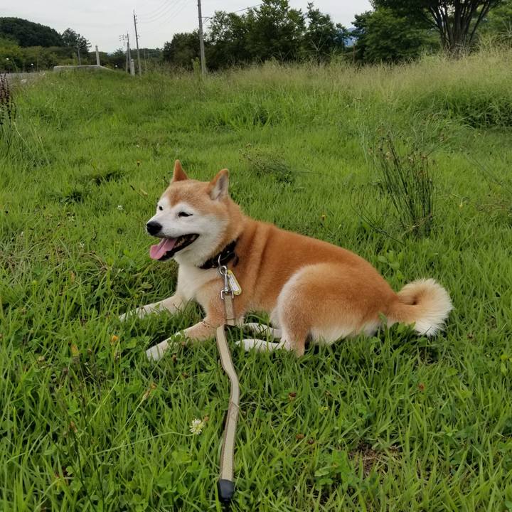 6286522e 8ae8 4d9c 9b65 6900b41edb83 1661156919809