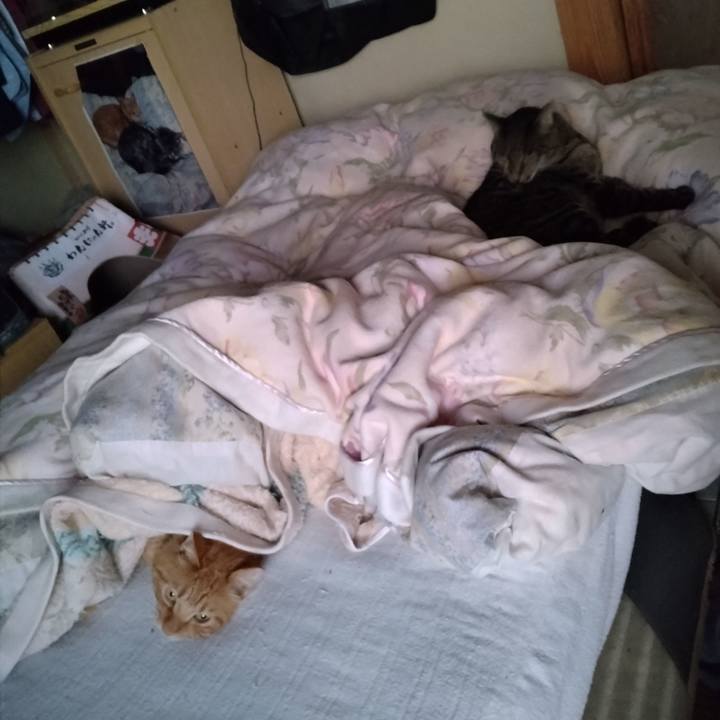 62865a6d 8fa3 49ec bfa1 5da26f61d0df 1696199854675