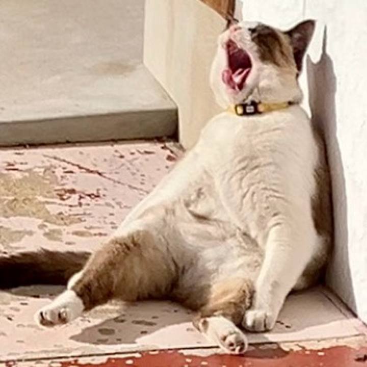 62865f31 62d9 4a08 a24a 7f5a380b646a 1733974140009