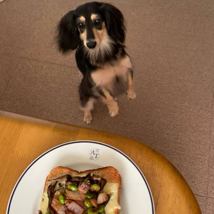 62866ef0 7b06 4e7b 9f92 967d082b0faf 1757284607819