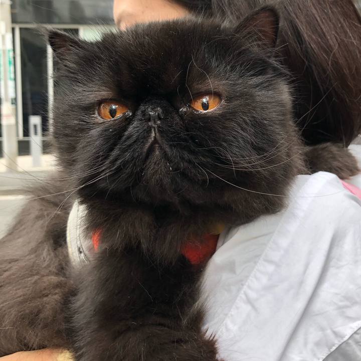 62869405 2301 4a82 9f4a d9a3674f0648 1617608803446