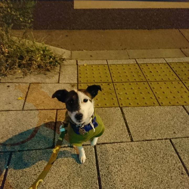 6286b1f2 88fe 4240 a577 124a5c99b0c1 1511085278133