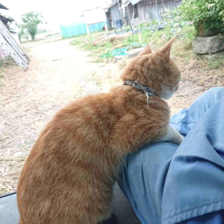 6286dca3 8ba5 4be0 9f34 fbb13c3b72b5 1591993704423