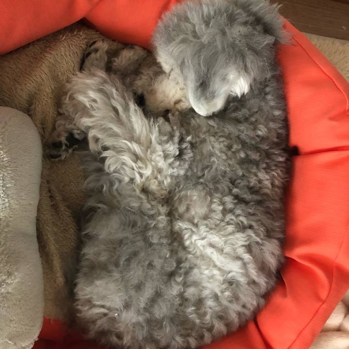 6286f5d5 13ff 44eb 9938 2ab30dad7410 1555630019775