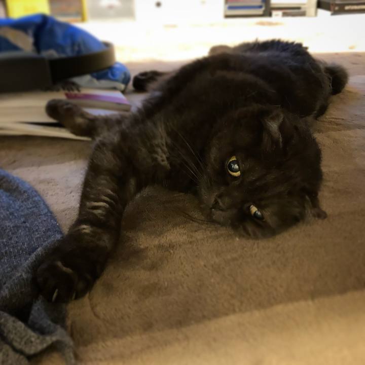 6286f5d8 e635 4fe4 90c7 7c39645954a4 1637687205008