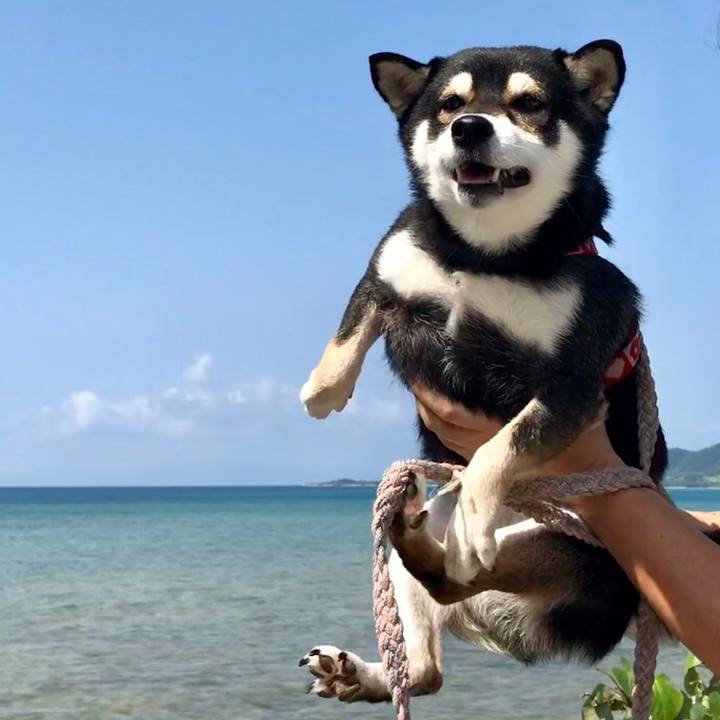 6286f812 9eb7 4e31 8233 94b0bb918cb0 1521338212332