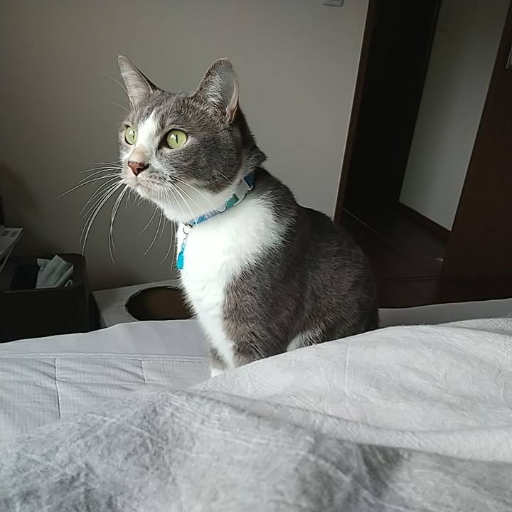 628746b0 3f78 4809 8a27 ea4ab92b457c 1637455703460