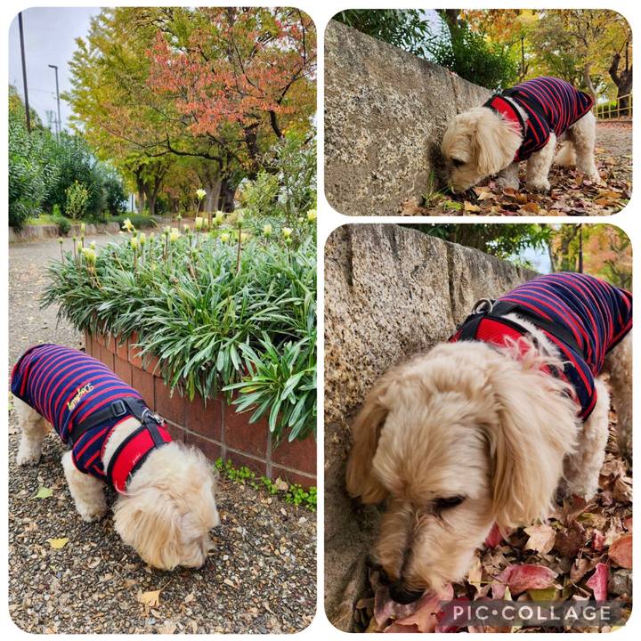 6287529b 8473 4c7a 9a47 80dd1ea75807 1763013108430