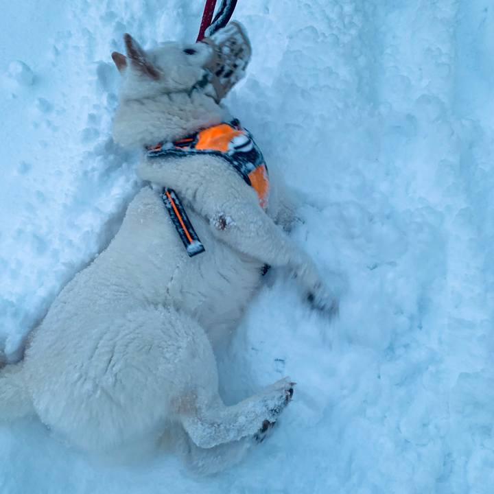 62875b77 28ba 4eb1 8631 4ca8250d13ef 1672784084399