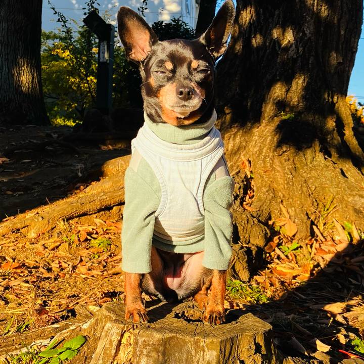 62877664 df71 4178 9723 af01ea280488 1768176475843