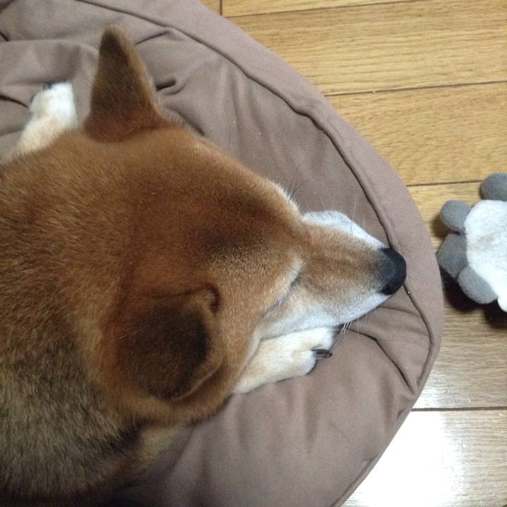 62877b41 d99c 483c a44d 0c466a131cdd 1535850814611