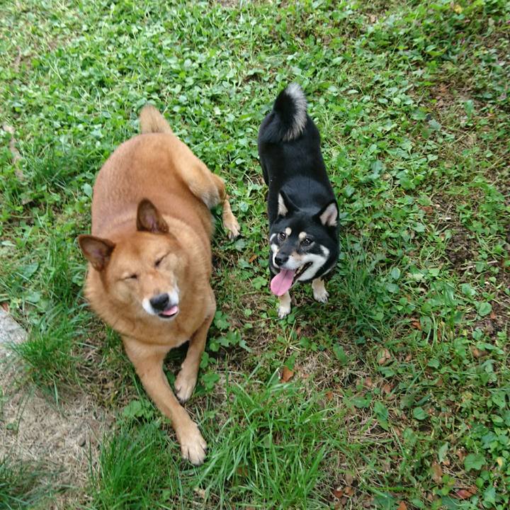 62879add 0f1c 4ada 9877 222be44e4d02 1538801718564