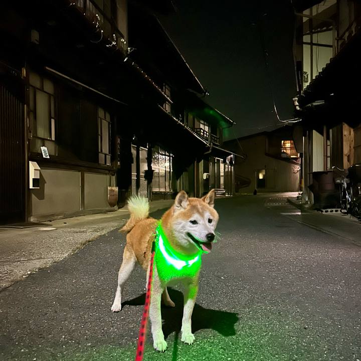 62879b0d 5867 48bc b195 a4a685640c7f 1723807260027