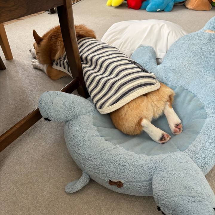 6287dc3b 20ff 4817 9940 499b97b3de33 1762401547370