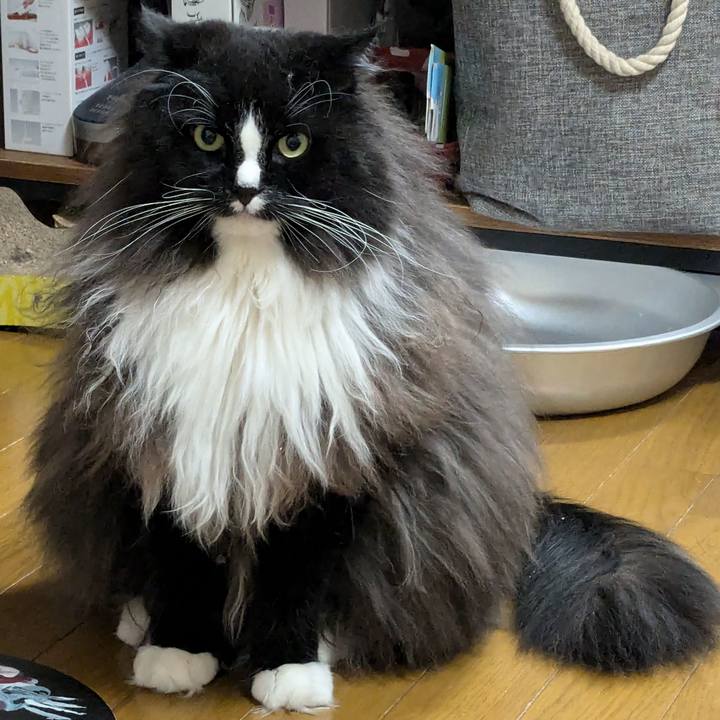 62882c76 5ea5 4344 af49 29ab85e03626 1732507224246