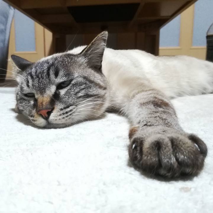 62883765 b714 49cb baf3 759a194dcfab 1548068801638