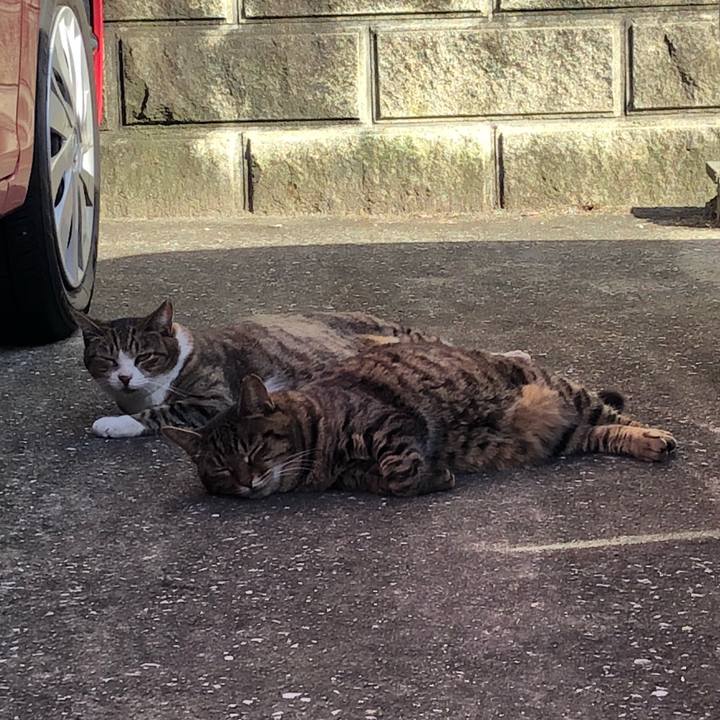 62883869 3bcd 48ca 8b82 ef0c841a27d7 1538396754316