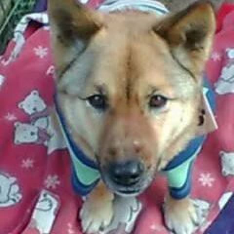 62883ad2 8b67 4648 838c a1b577d2f73a 1628828992293