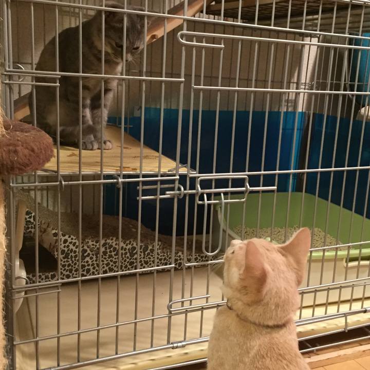 6288491e 7339 462e b8f4 65cb1f9c4846 1538570829603