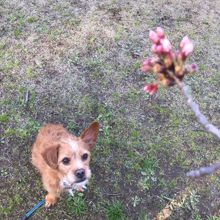 62885a4a 925f 4a7f 99d5 b68ce68de4d5 1584619632749