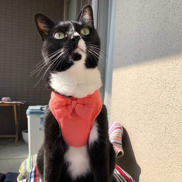 6288659a ffd0 4d7a 87b8 8072ddd05ac8 1522273936582