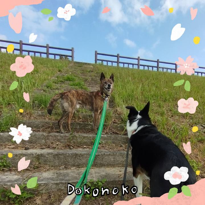 62886e80 601e 4d8e 828b b79fc6cdff27 1711069234069