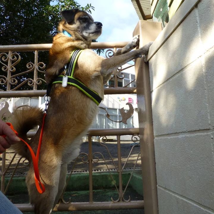 6288957b bce0 4ac7 bb9c 4b29de0767de 1581038281640