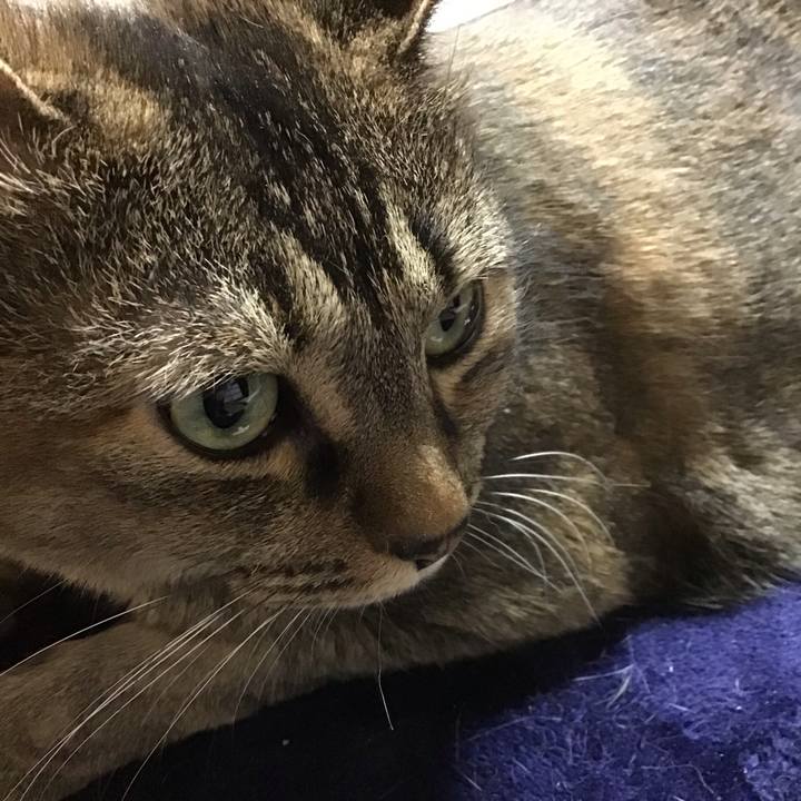 6288b1da ab7e 4e2d 8d7b 203d82134321 1713445337200