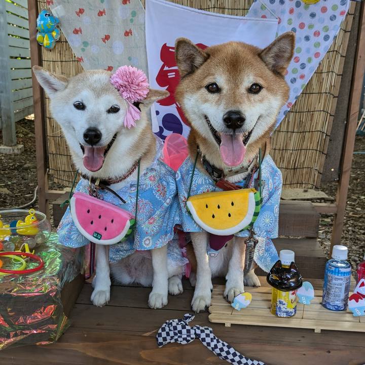 62891be9 73a8 4640 8e6a e35321b891c8 1724559783830