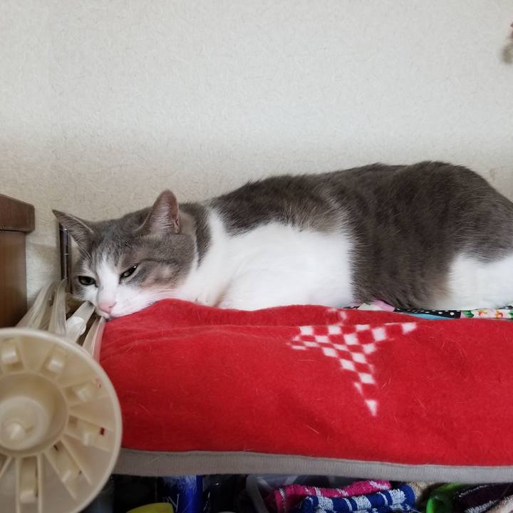 62891cf2 e8c6 4a91 b23f d77f307d3fc4 1640447556747