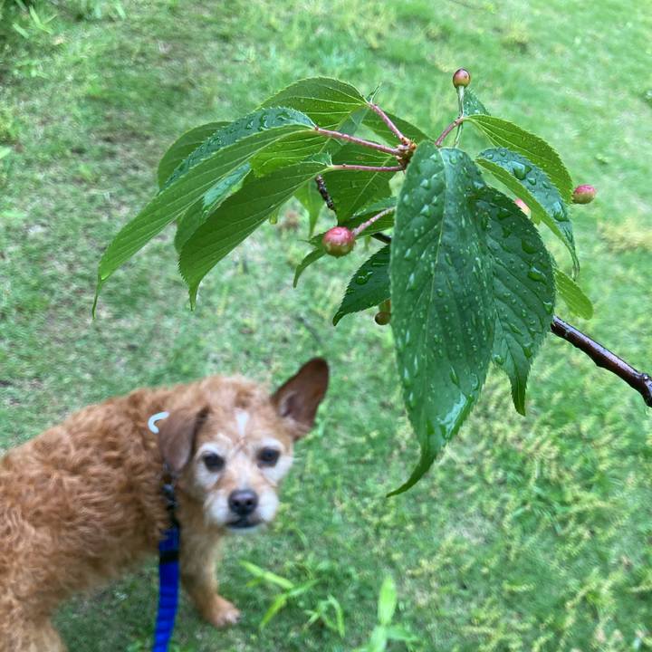 628937e0 8f14 48ce 82cd ec12f3376986 1683810026214