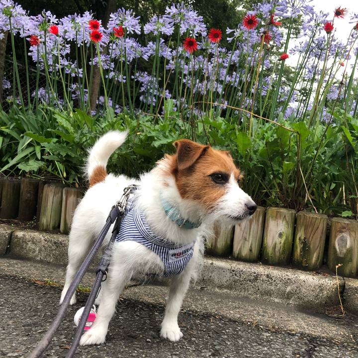 628958a7 5198 43c0 ad8d dc0834683eda 1529787669627