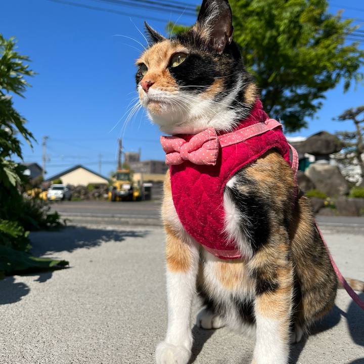 62897709 ea56 49a6 88b4 4bebd80290c3 1683155734545