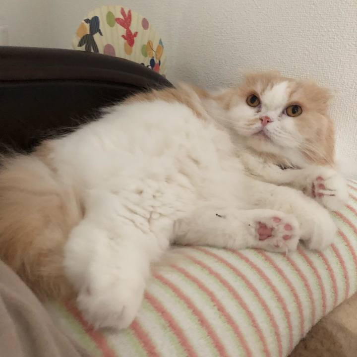 62897d46 8a34 42bd 8106 28debf4b0730 1625469082453