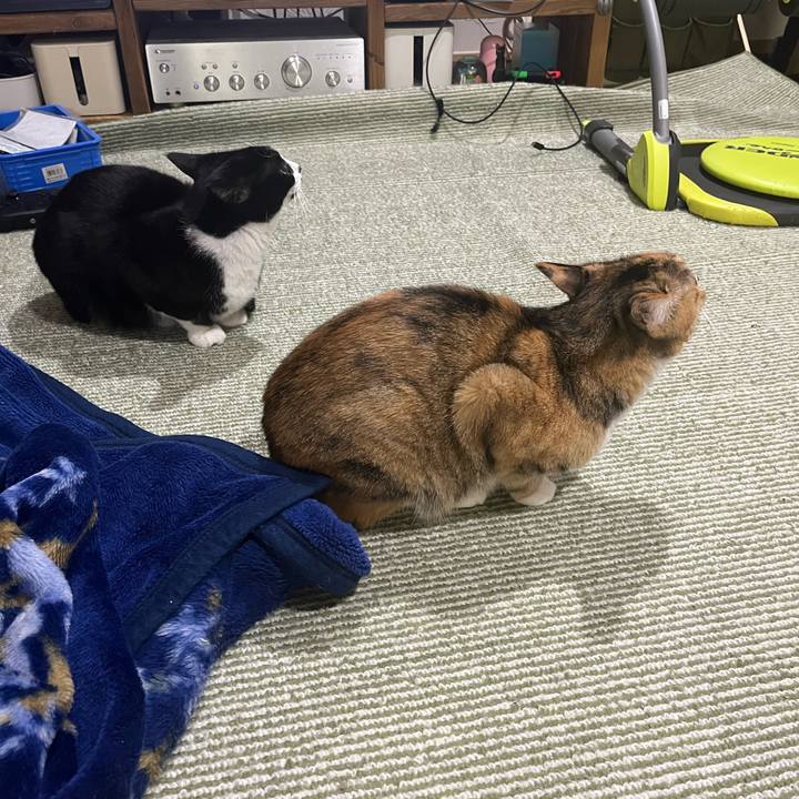 62899663 8180 4488 8361 8e0f02fed43c 1709820252625