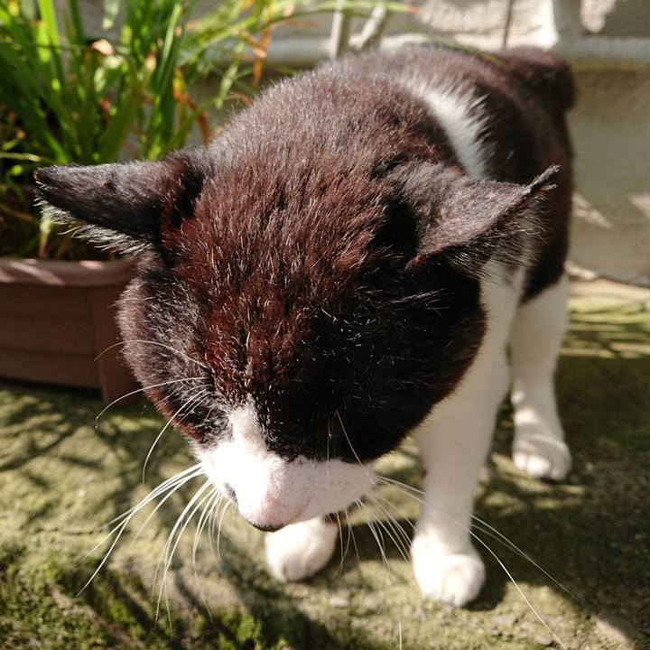 6289acf1 238d 434e 956f d546a532e0dd 1689117304792