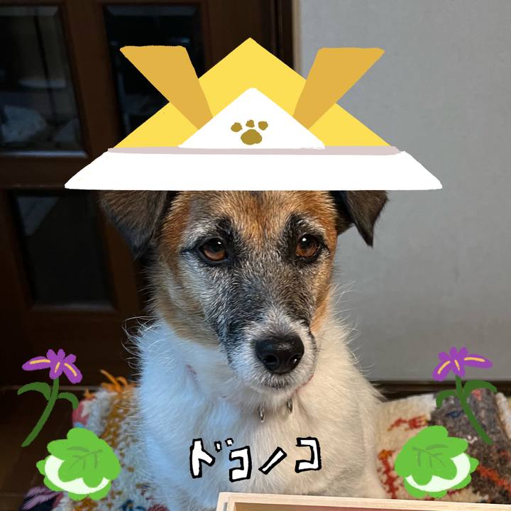 6289cb39 ef20 44a4 b1a6 9a90f80fd5bd 1714888374456