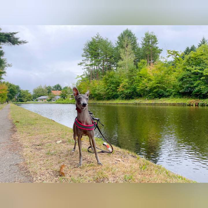 6289f28a d550 4dcb ab96 9eee56388213 1758186462310