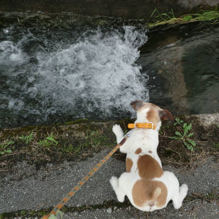 628a27d1 cb4a 4ce1 a716 99ce9c1ac734 1563975024202