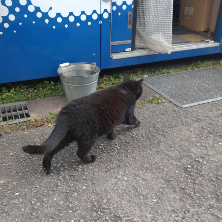 628a9099 22fd 4edb b18c 541560dfb985 1761869427627