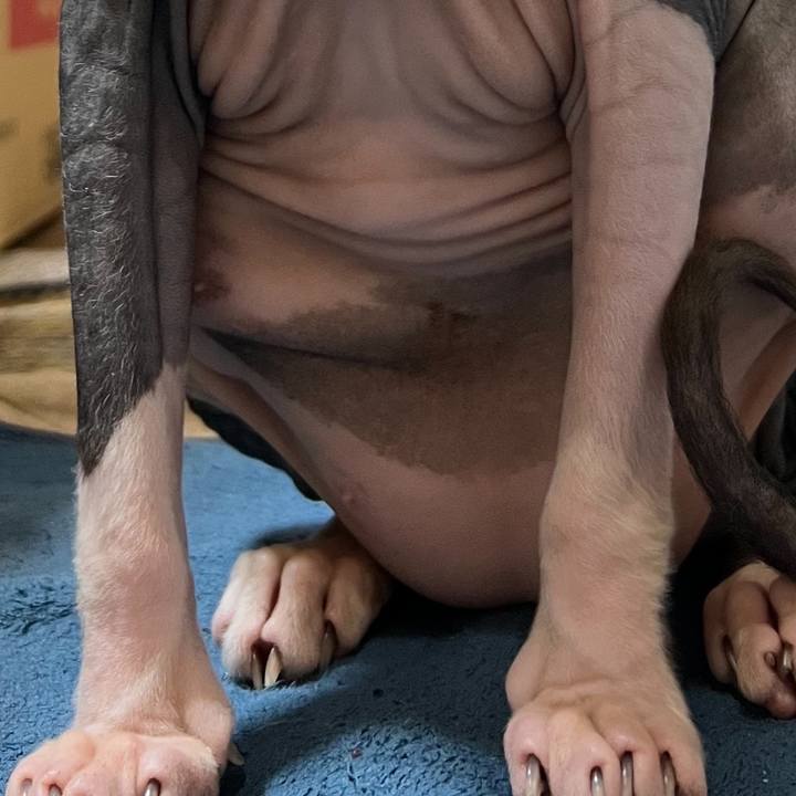 628ab5a1 2975 4fe3 9413 70c0f4581cf2 1648276628433