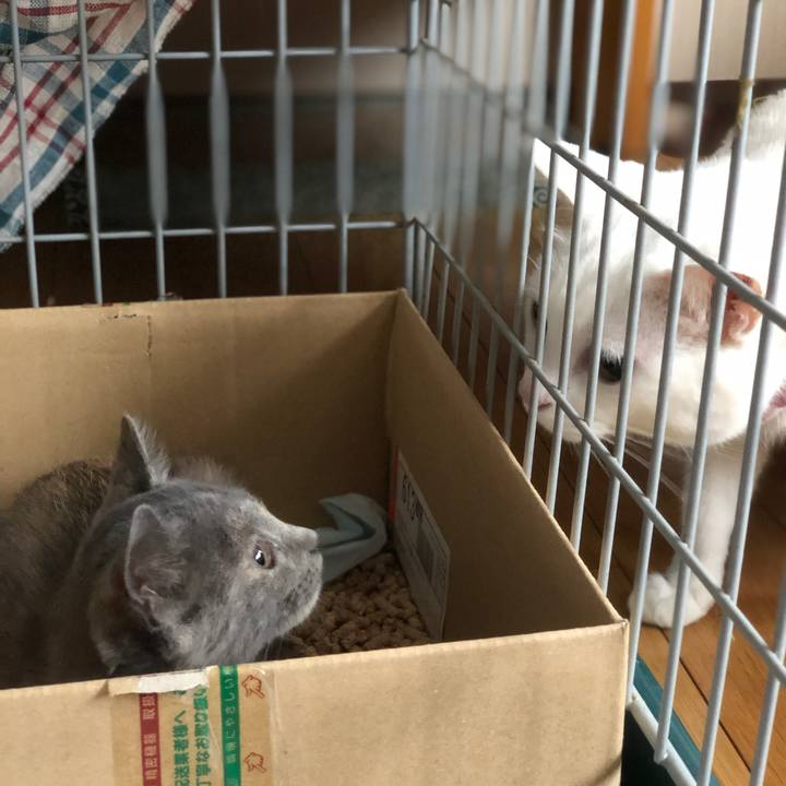 628ac03a 0abf 4064 99bd 13cab464faf2 1562822979606