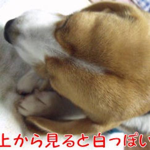 628ae73e 78a1 4061 abdd 2b7d4cc76692 1715040084081